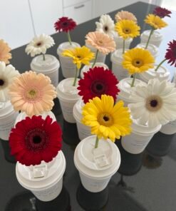 Teacher's Day - Image 3