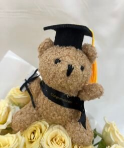 Grad Bear (Black)