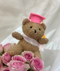 Grad Bear (Pink)