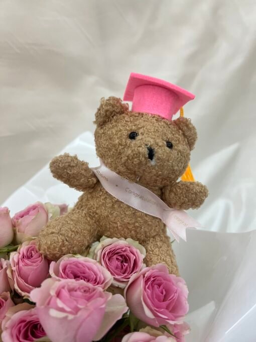Grad Bear (Pink)