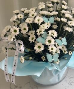 Alternative view of Luv