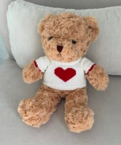 Teddy Bear with Heart Shirt
